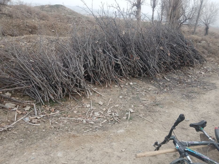 O'tin. Otin. Sotiladi arzon narxda qilib beramiz