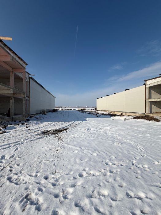 Hale de vanzare/inchiriat Popesti Leordeni