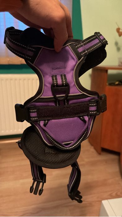 Hainute catei diferite modele si alte accesorii