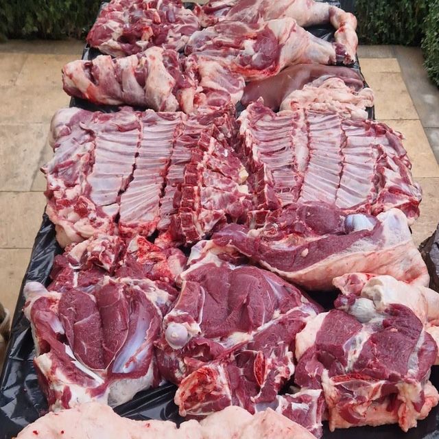 Qoylarimiz kilosi 85000 min somdan