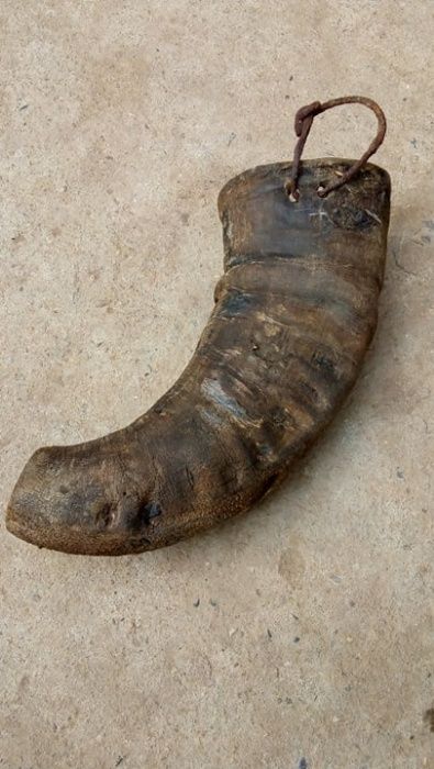 Стар рог катраница