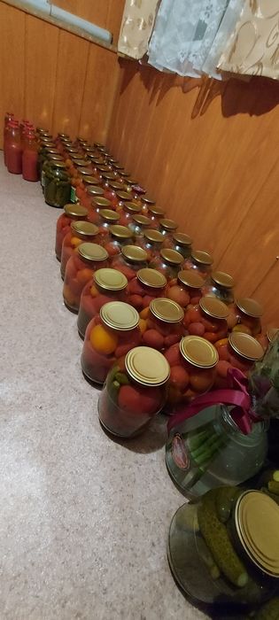 Продам вкусные помидоры