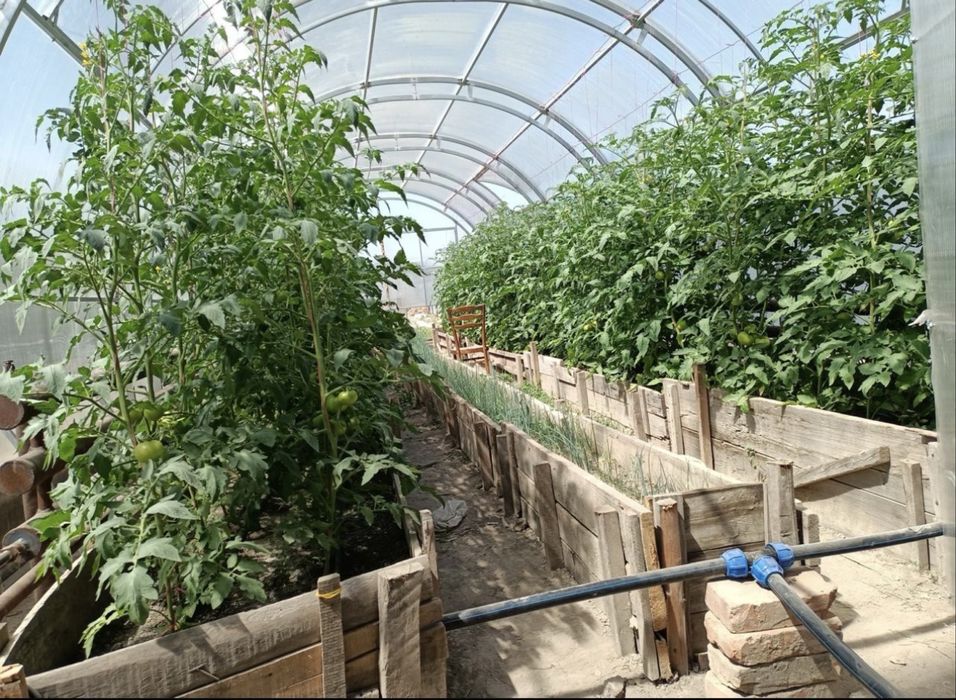 Продам заводскую теплицу