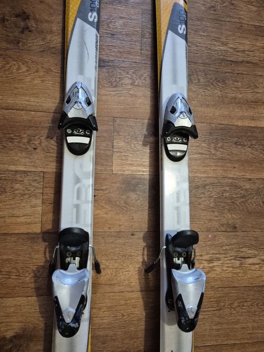 Горные лыжи Fischer