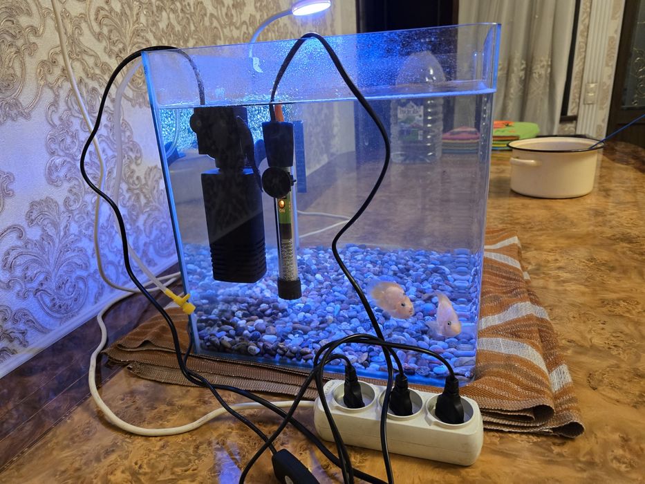 Аквариум с рыбками
