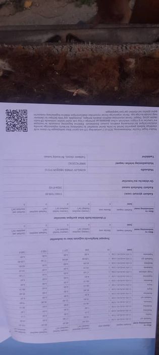 Ер участка сотилади