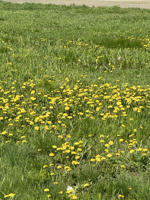 Продам земельный участок