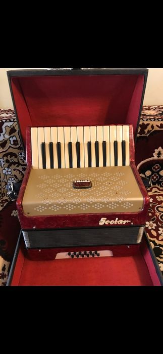 Acordeon Timiș Școlar