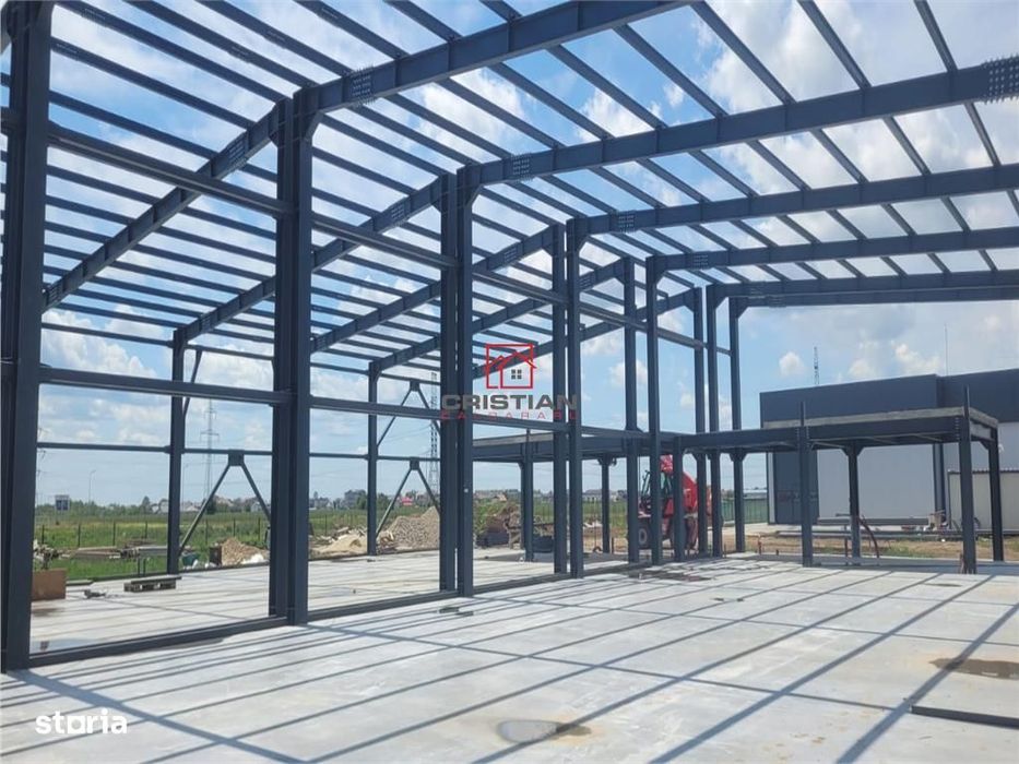 Vanzare depozithalaspatiu industrial Domnesti - Centura, Ilfov