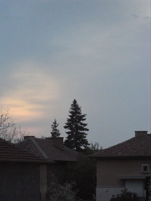 Casio Exilim EX-Z100