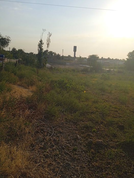 Yer sotiladi qurilish uchun ham dehqonchilik qilishgayam zór yerlar