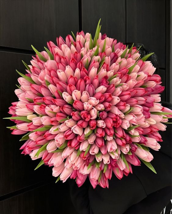 Тюльпаны от производителя