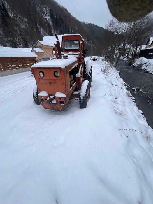 Vând Ifron Românesc
