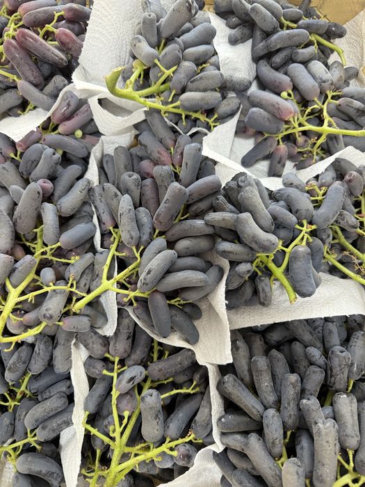 Аватар виноград продается