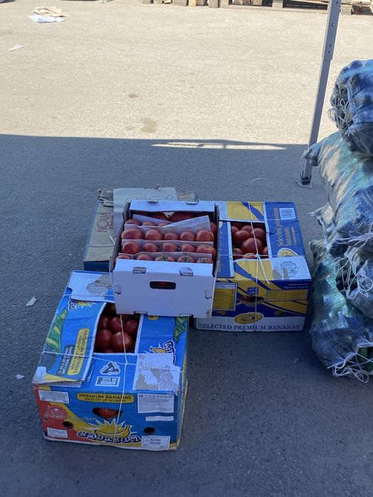Помидоры 100тг срочно
