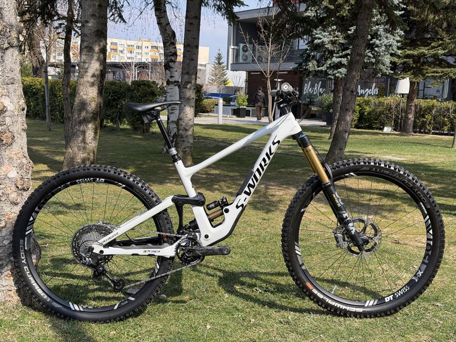 DREAM BUILD S WORKS Enduro Specialized Carbon