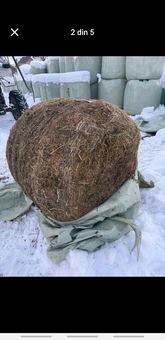 Vand baloti de lucerna infoliati