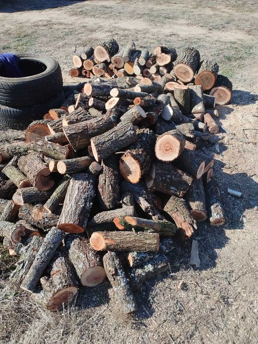 Дърва за огрев ! Сухи !