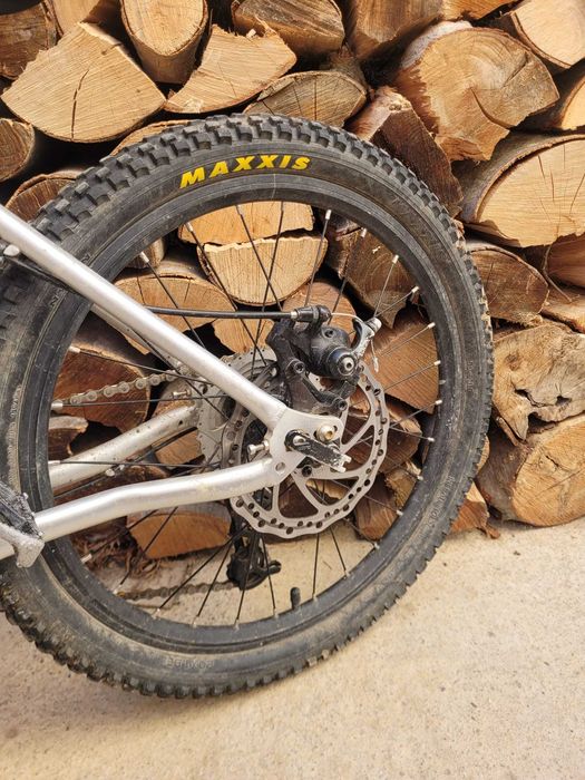 Early Rider Belter 20 Zoll