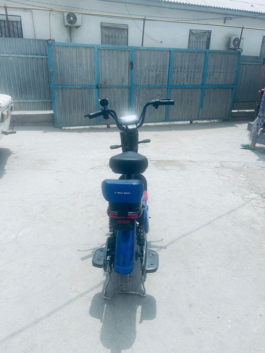 T rex bike
