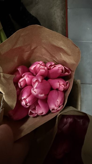 Продам тюльпаны оптом 300