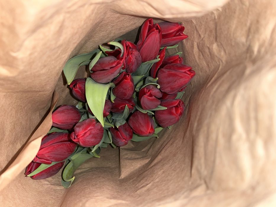 Тюльпаны оптом и в розницу