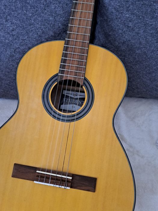 Vând chitara clasica 4/4+ husa, 250 lei