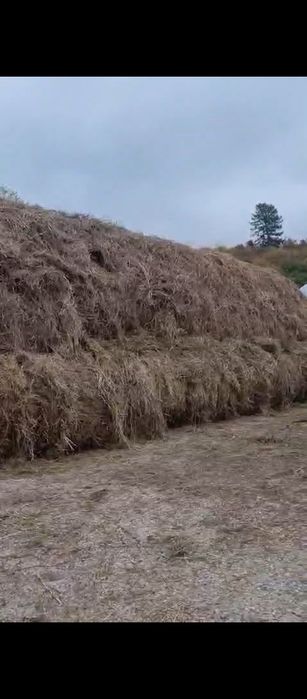 Продам сено в тюках