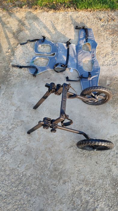 Carucior caine paralizat / handicapat