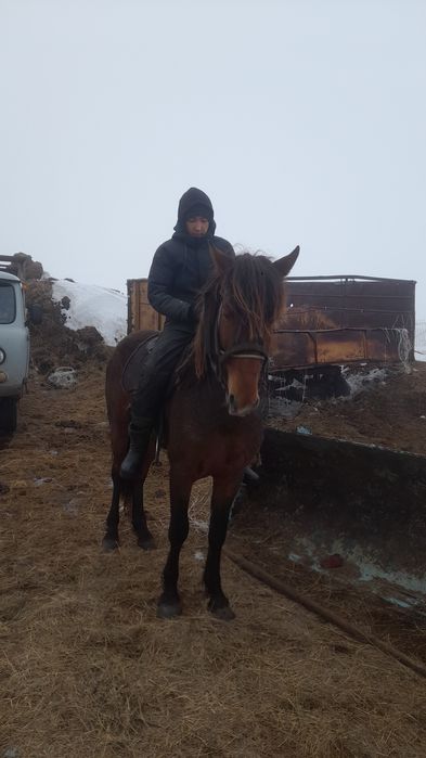 Құнаннан Дөненге шығады