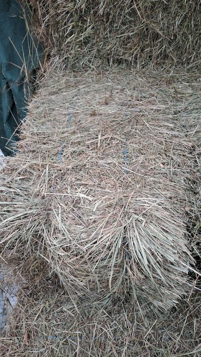 Baloți de fân           .