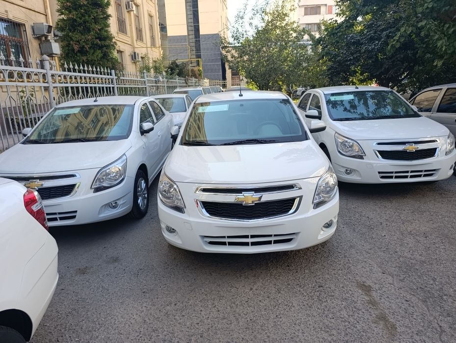 Cobalt bez probek Masla stayl 2025