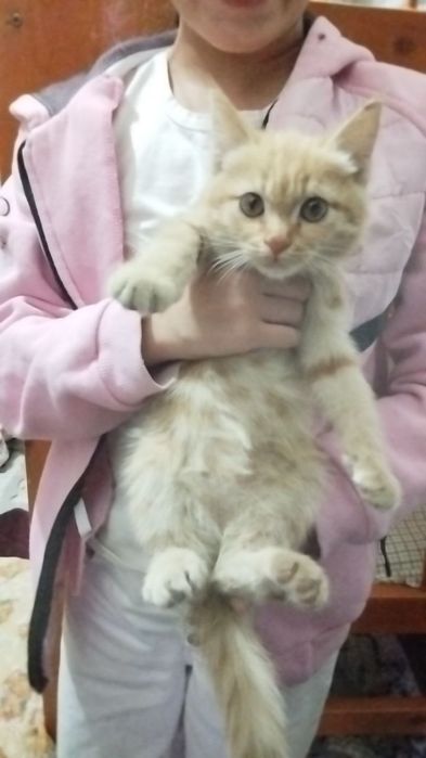 Персик 2,5 месяца