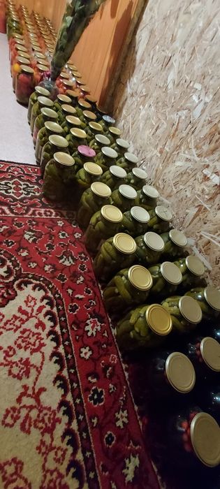 Продам вкусные огурцы