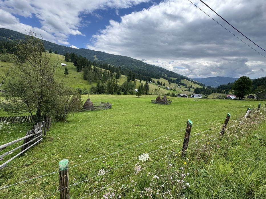 Teren de vanzare la munte in Bucovina