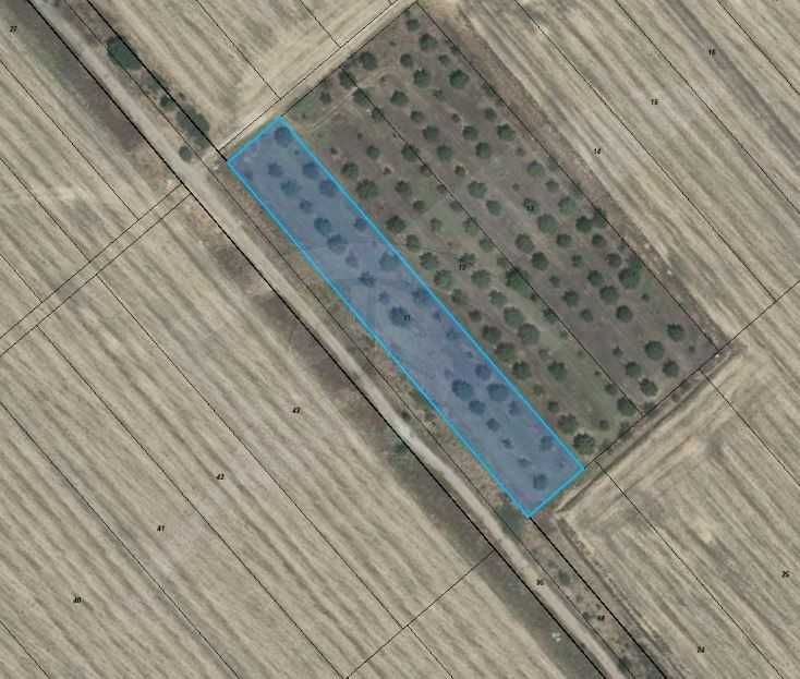 Парцел в Богданица 70544