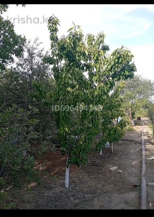 Продается дачный участок с домом, дачном массиве " Бугорки"