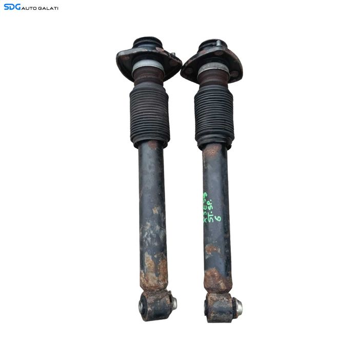 Set Amortizoare Telescoape Spate BMW X5 E53 1998 - 2006 [M9415]