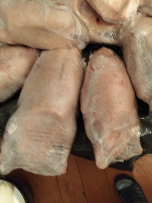 Тушки гуся оптом . Гуси