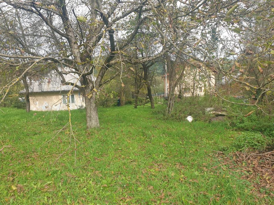 Vand teren si casa veche in viseu de jos