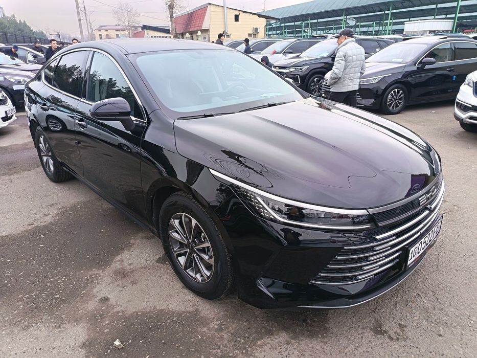 Чазор 1паз Гибрит Тозза краска 2024 25 йил 24000 Юрган