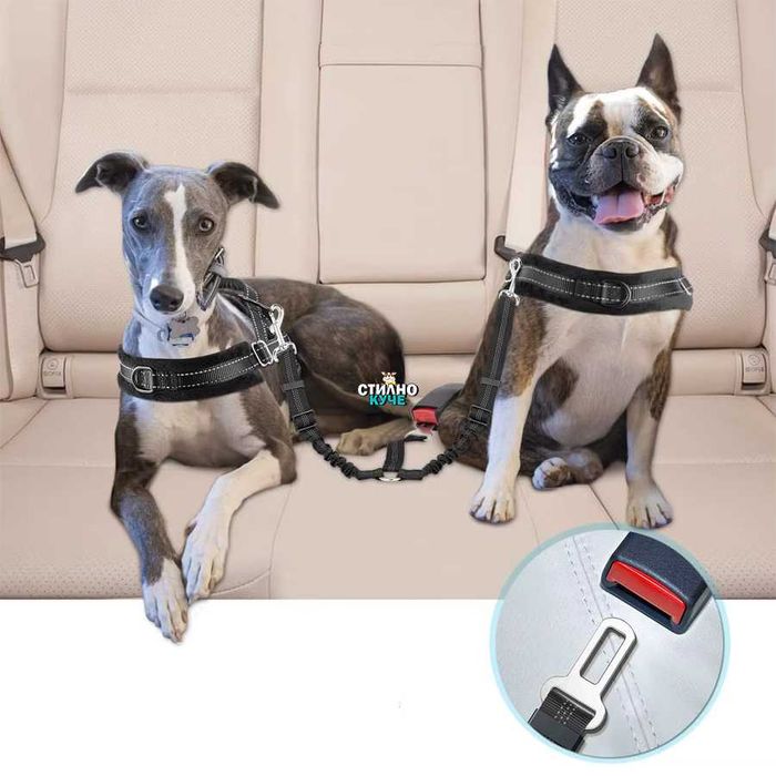 Колан за кола за две кучета Предпазен колан за автомобил за две кучета