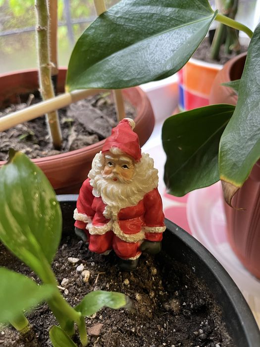 Урашения и сувенир