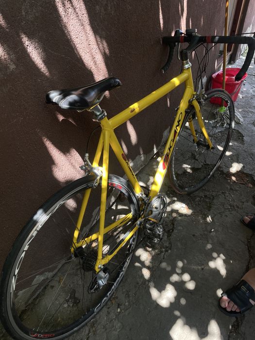 Bicicleta semicursiera