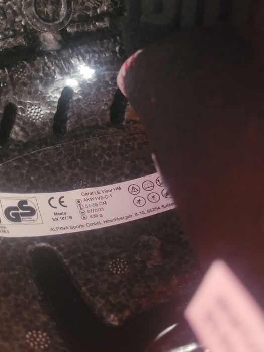 Alpina каска за ски