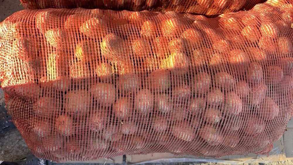 Картофель Коломбо