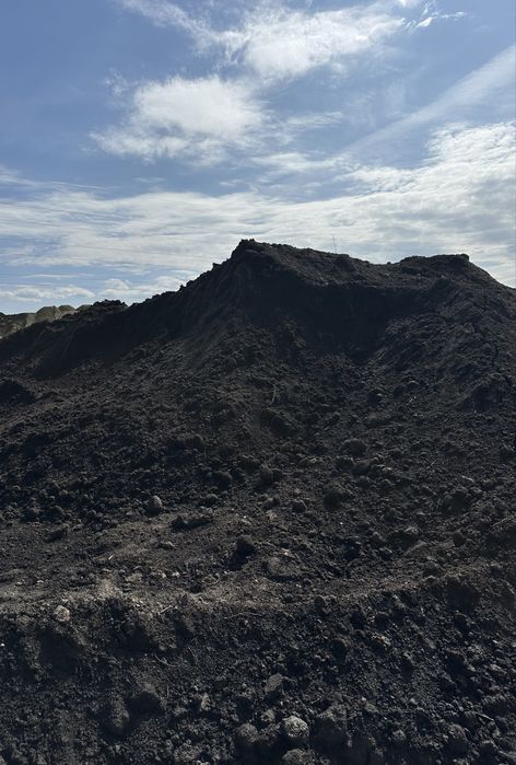 Pământ vegetal , pământ negru