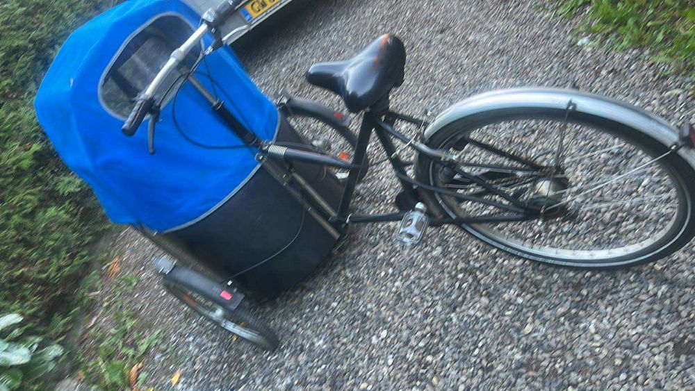 Bicileta 3 roti danemarca