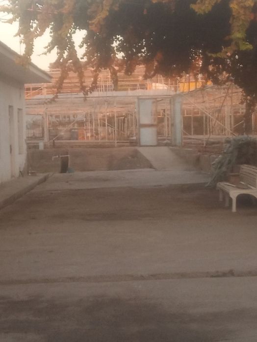 Nazarbek sentrida muzimpeks kocha