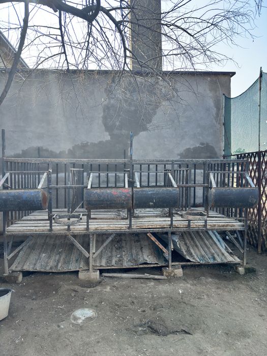 Qoy xona 4 tali sotiladi